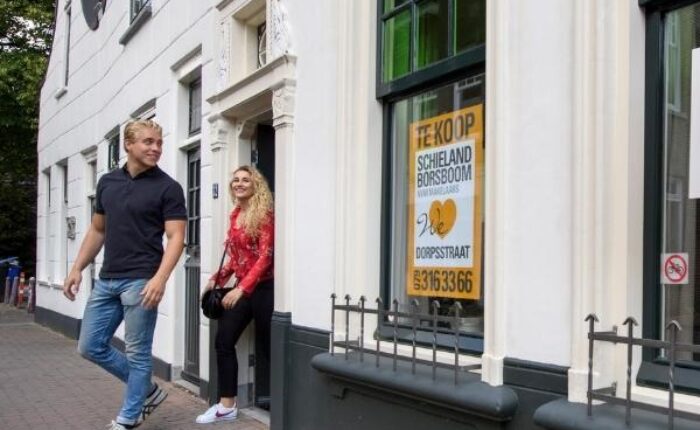 <h4>BEZICHTIGINGEN</h4>