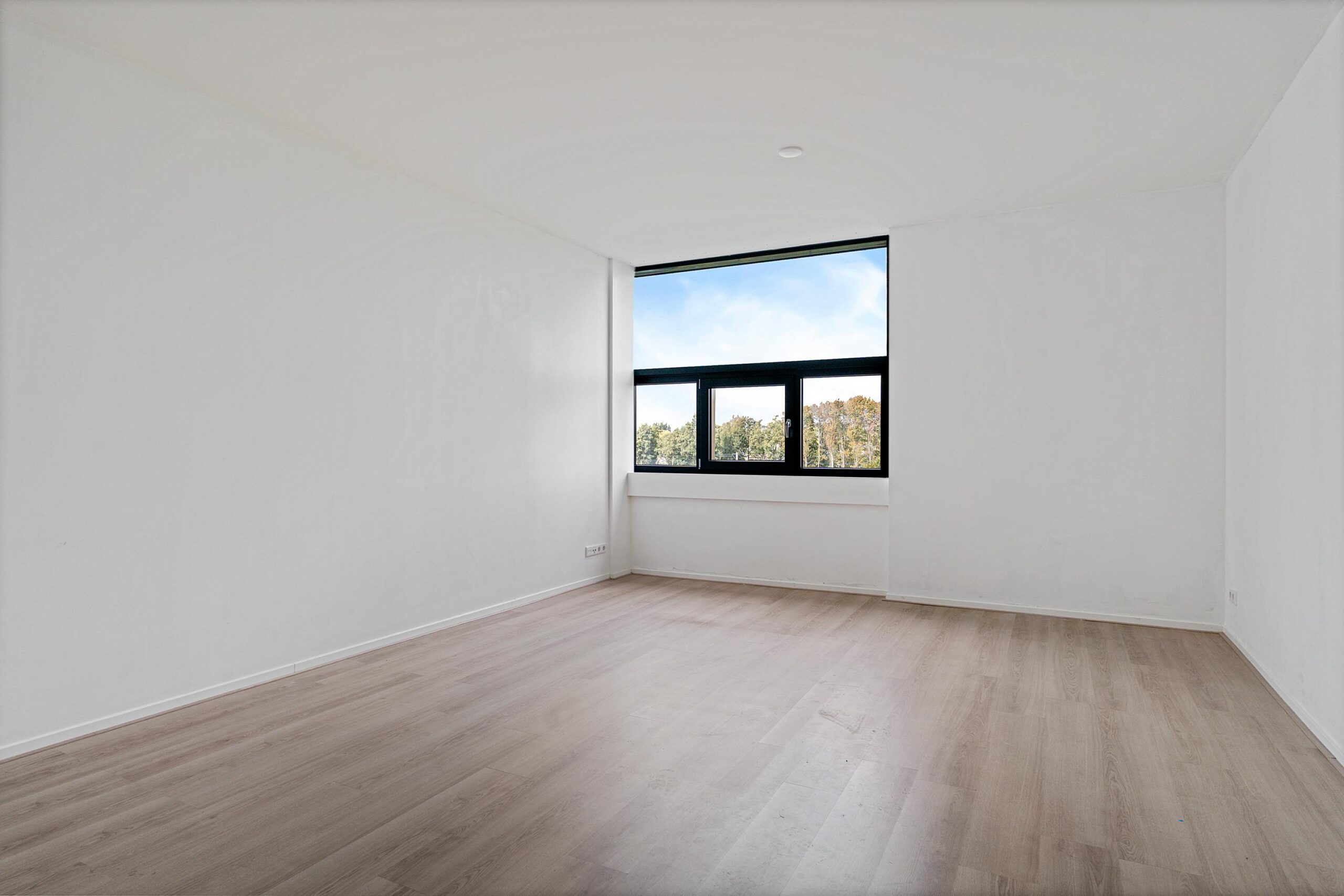 Fascinatio Boulevard 888R-06