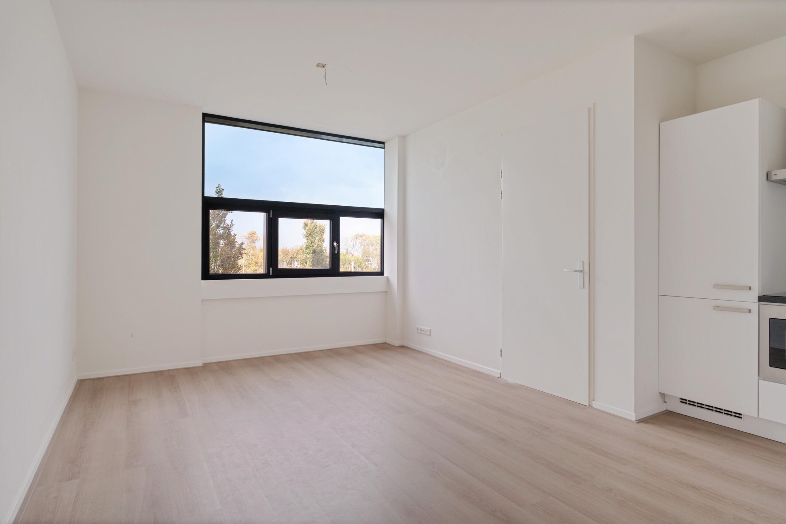 Fascinatio Boulevard 888P-05