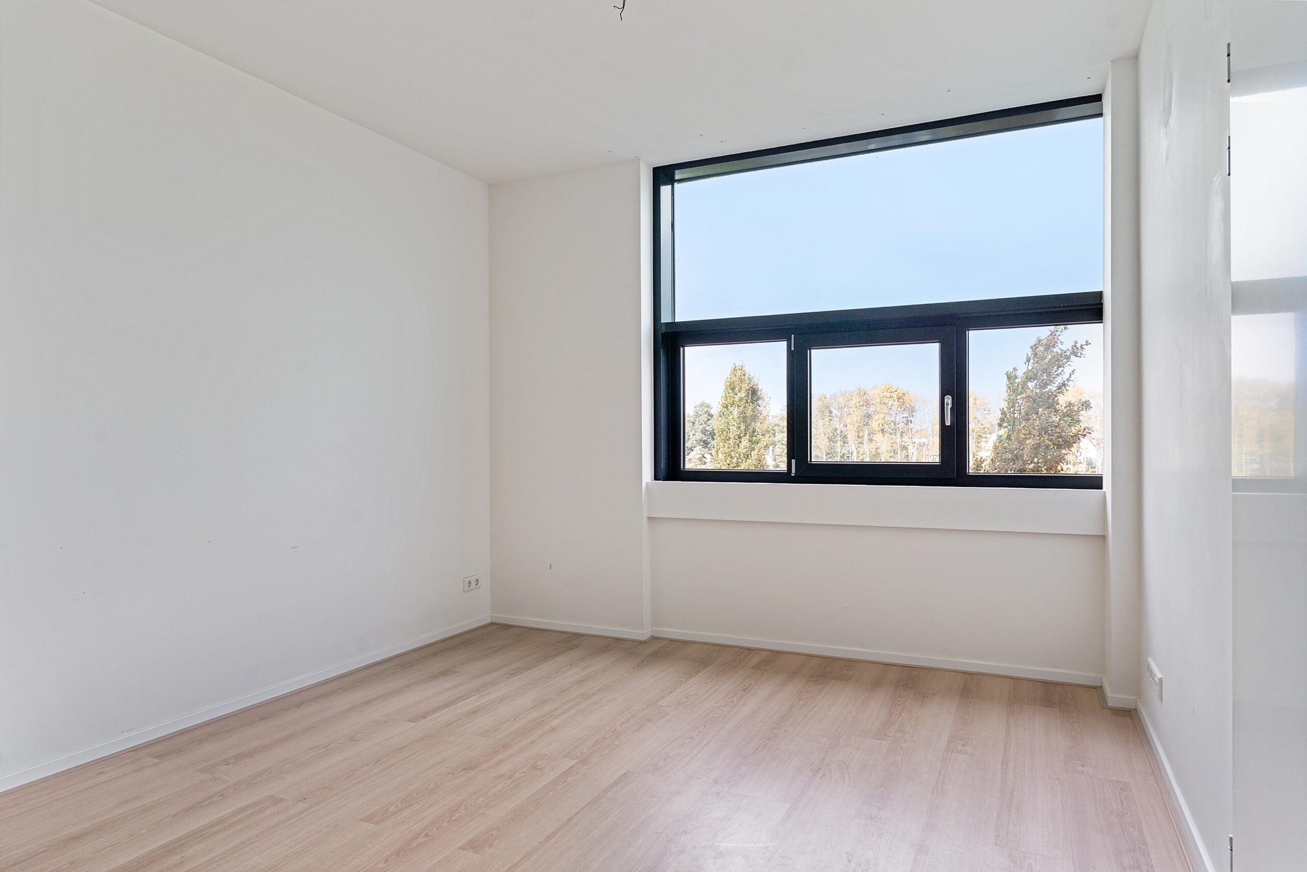 Fascinatio Boulevard 888P-11