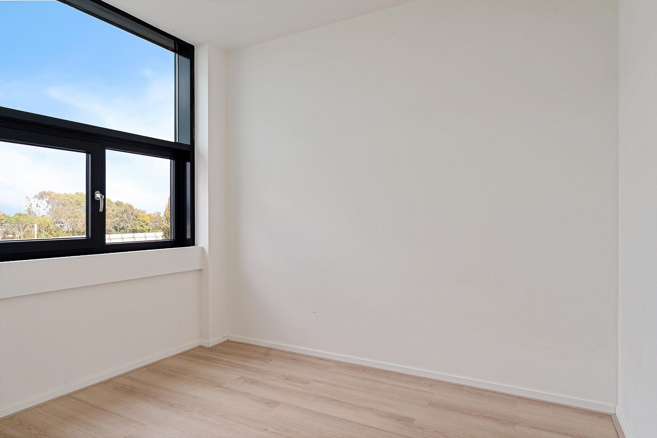 Fascinatio Boulevard 888P-12