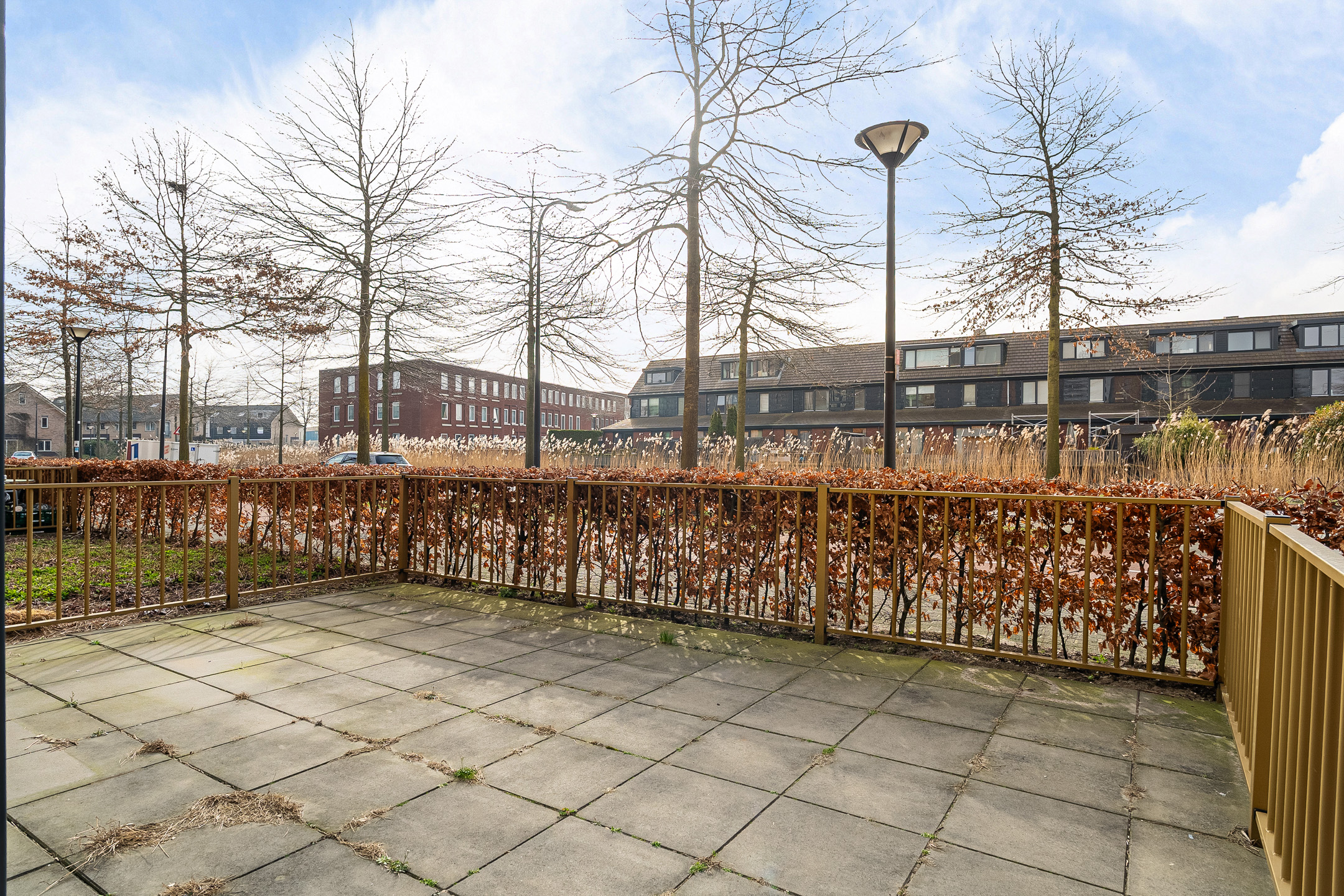 Fascinatio Boulevard 886L-21