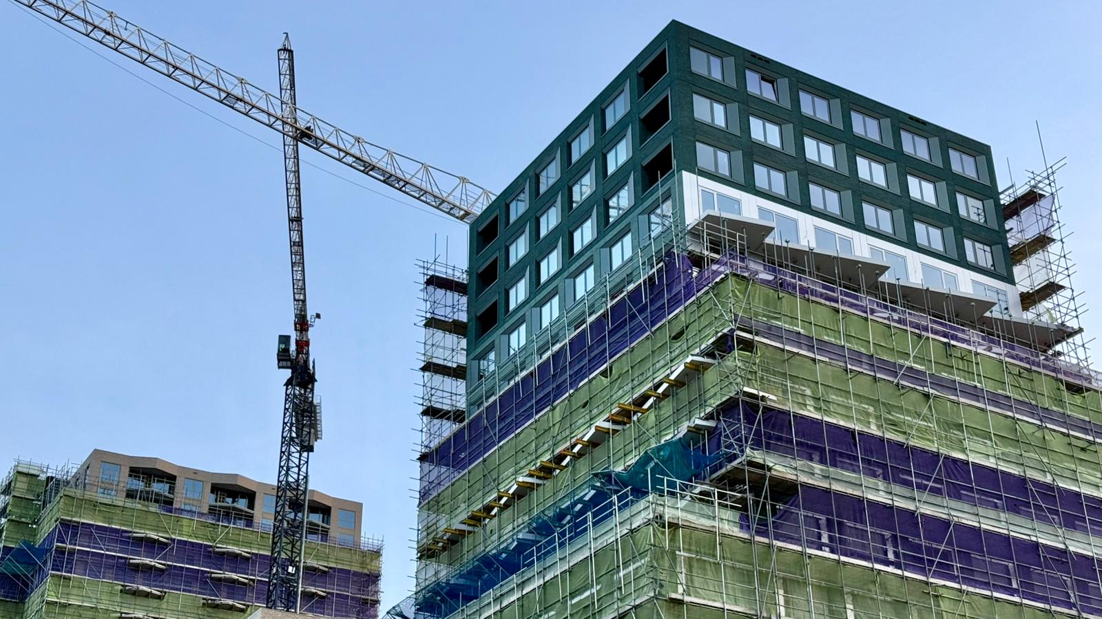 WhatsApp Image 2025-11-12 at 15