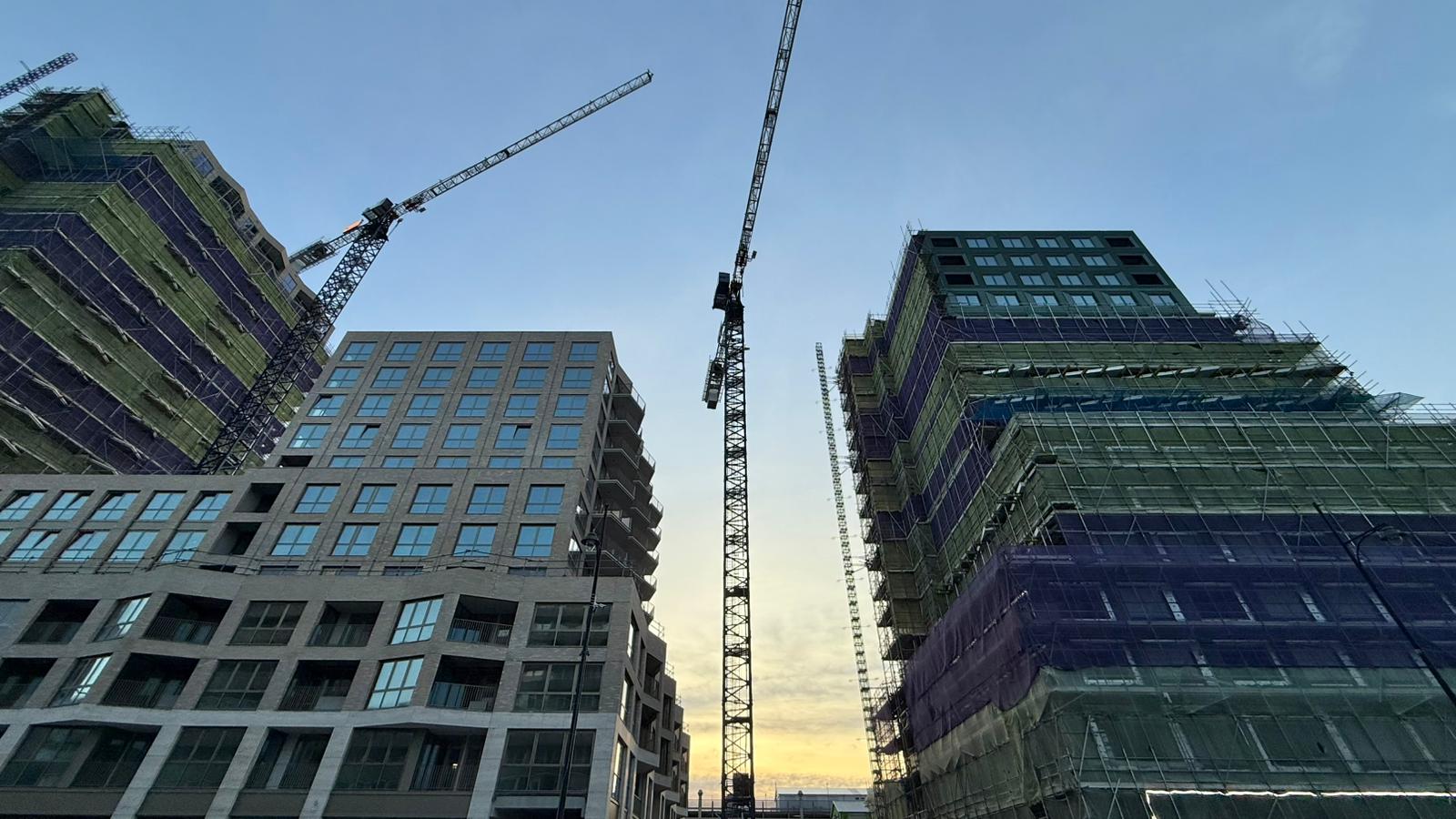 WhatsApp Image 2025-11-12 at 15